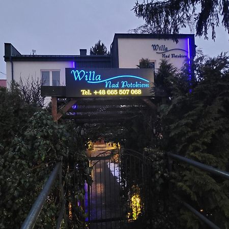 Willa Nad Potokiem Kudowa-Zdrój Extérieur photo