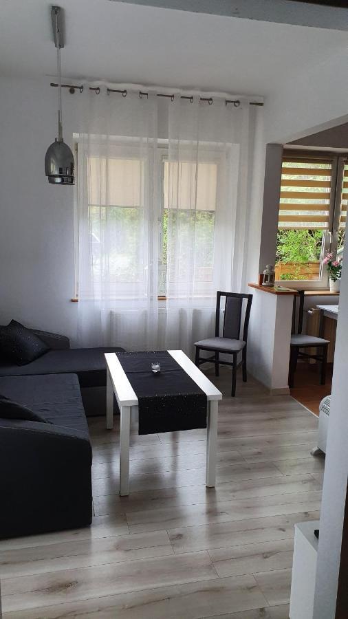 Willa Nad Potokiem Kudowa-Zdrój Extérieur photo