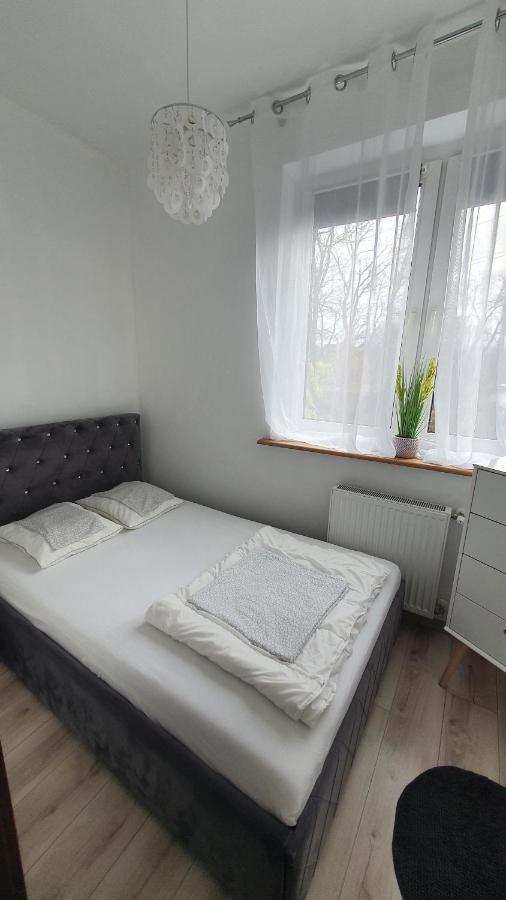 Willa Nad Potokiem Kudowa-Zdrój Extérieur photo