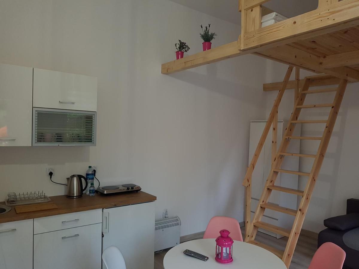 Willa Nad Potokiem Kudowa-Zdrój Extérieur photo