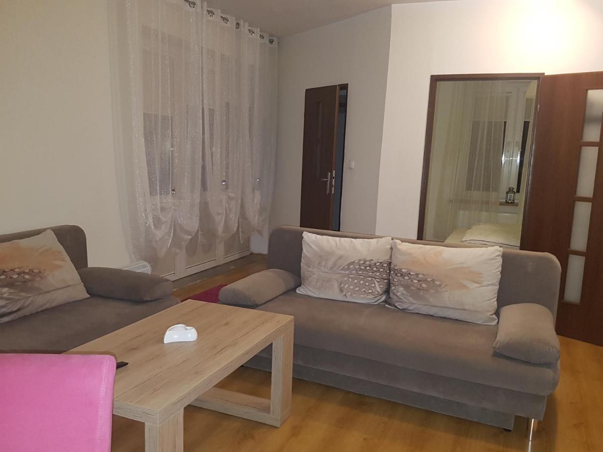 Willa Nad Potokiem Kudowa-Zdrój Extérieur photo